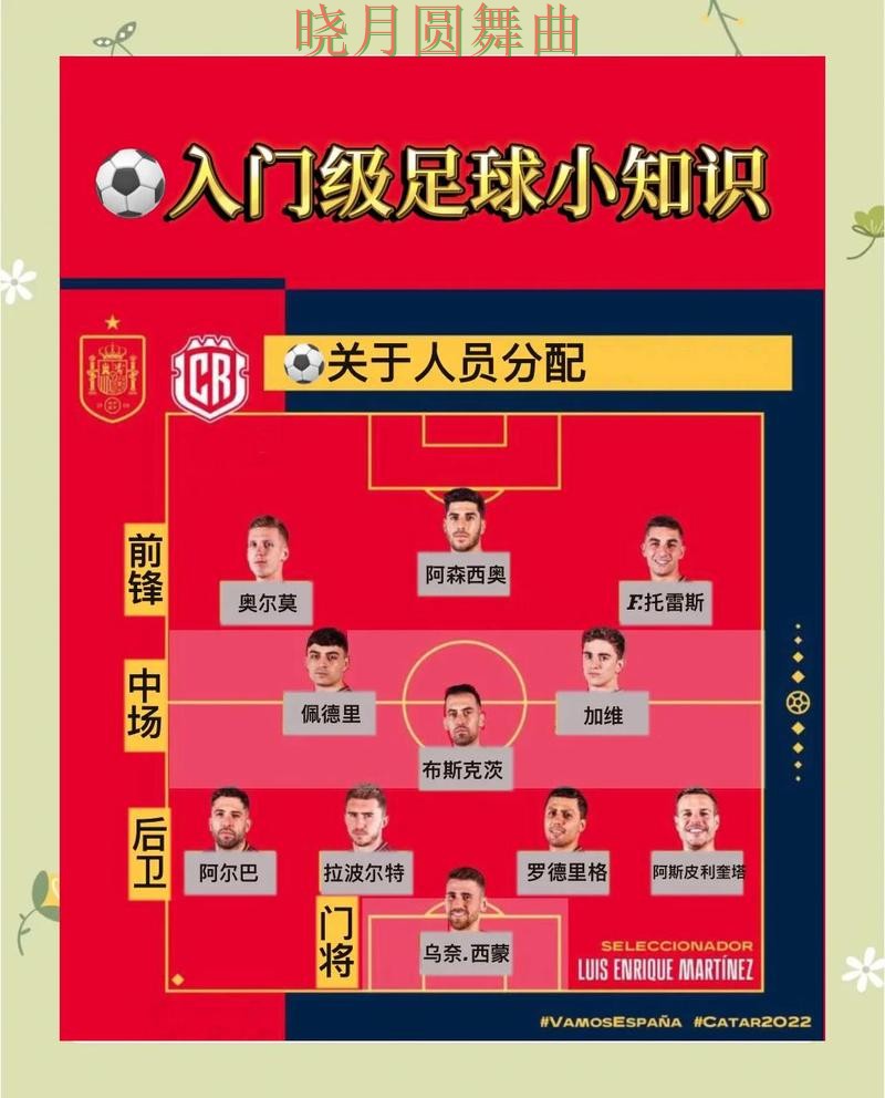 世界杯投注注册高手都在关注哪些细节实用指南